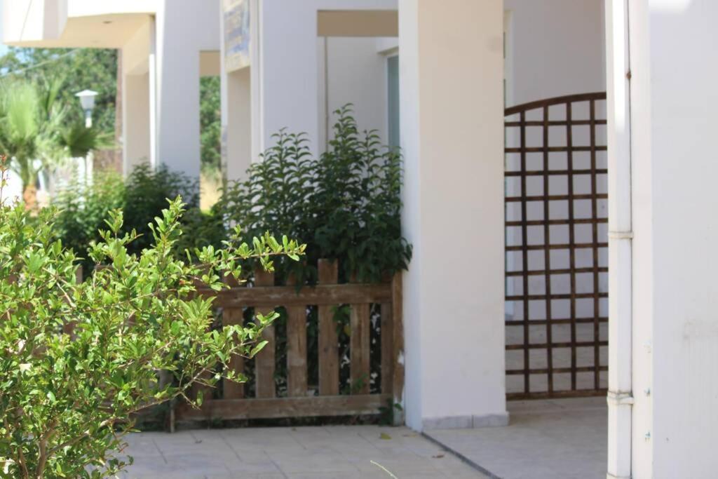 Spacious & Cozy Apartment, With Big Yard, In Kos ภายนอก รูปภาพ